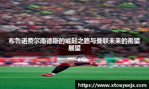 星空综合(中国)官方网站